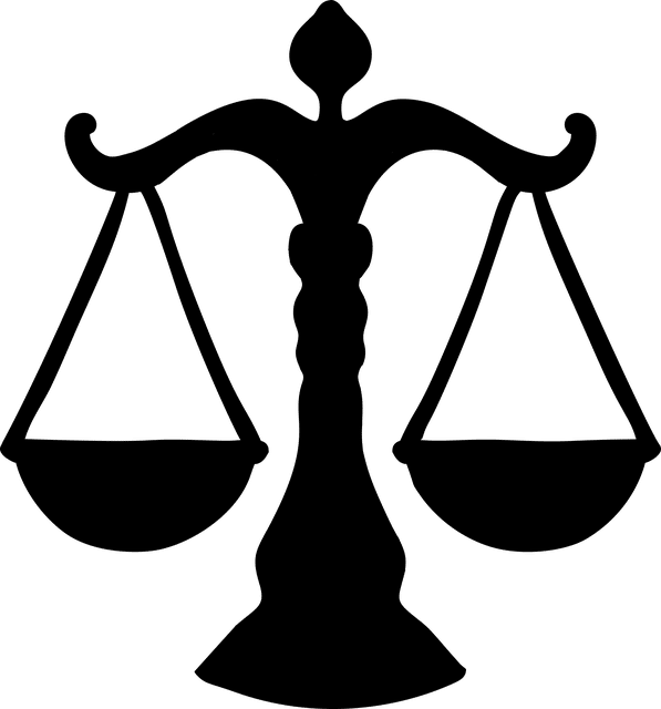 Florid Flicks Pty Ltd Case Law Assignment