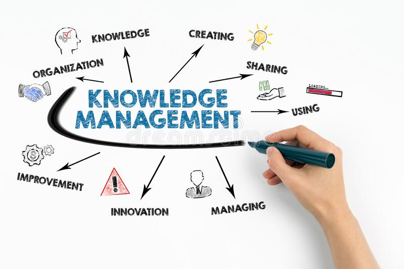 BISY3005 Knowledge Management Assignment Sample