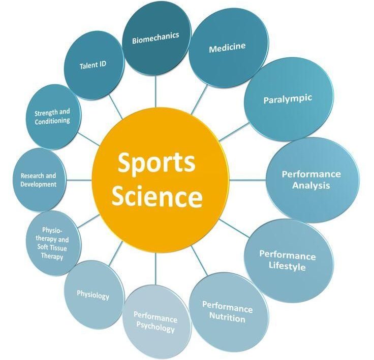 LS4008:Sport and Exercise Essay Sample