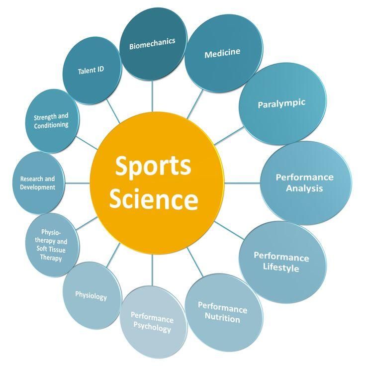 LS4008:Sport and Exercise Essay Sample