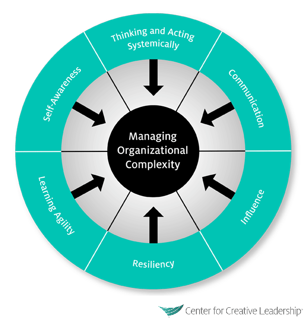Management Skills for Executives