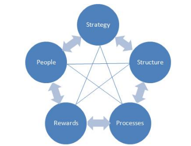 Galbraith’s Star Structure - 4HR018 Best Assignment on Organizational Structures for Effective Management