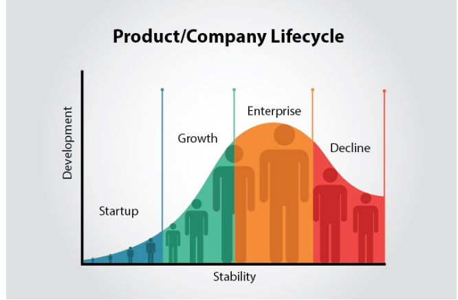 Organizational life cycle- 4HR018- Best Assignment on Structures for Effective Managment