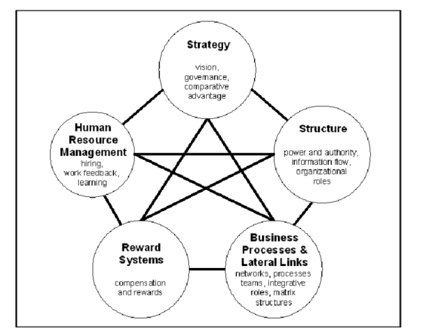 Galbraith’s Star structure 4HR018- Best Assignment on Structures for Effective Managment