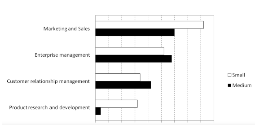 Small-Medium Enterprises Development Assignment Sample