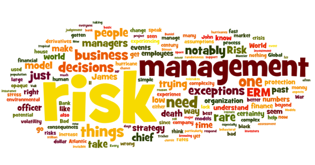 7FNCE019W International Risk Management