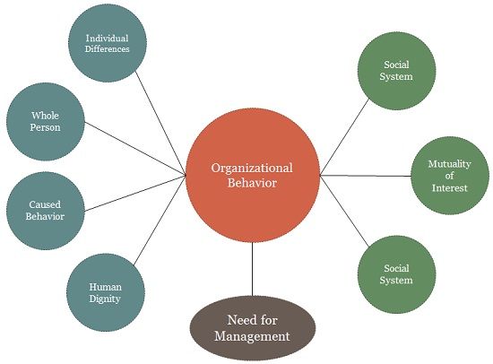 BFO0242 Understanding Organizational Behaviors