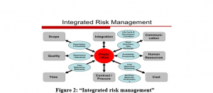 BN4206 Risk and Value Management Assignment