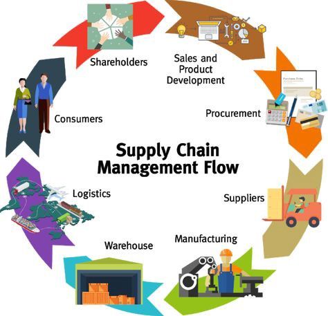 Great ENG706S1 Supply Chain Management Sample