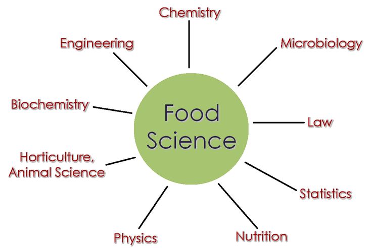 Great Food Science and Innovation Assessment Sample