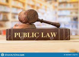Great Public Law Assignment Sample 2022