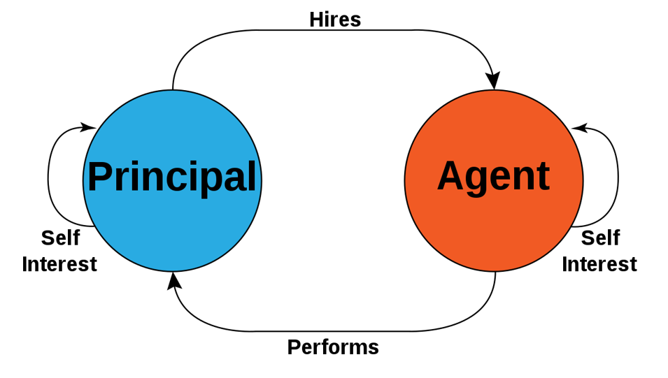   Agency Theory Procurement Risk and Contract Management Assignment
