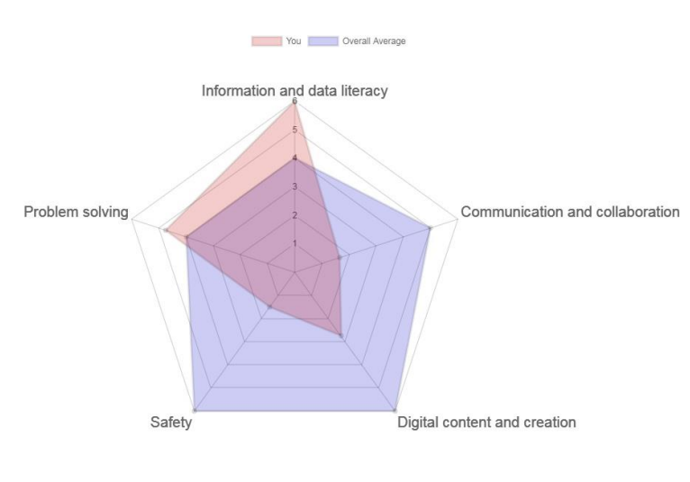 Radar Chart of online self-assessment Digital and data skills - Individual Report Assignment