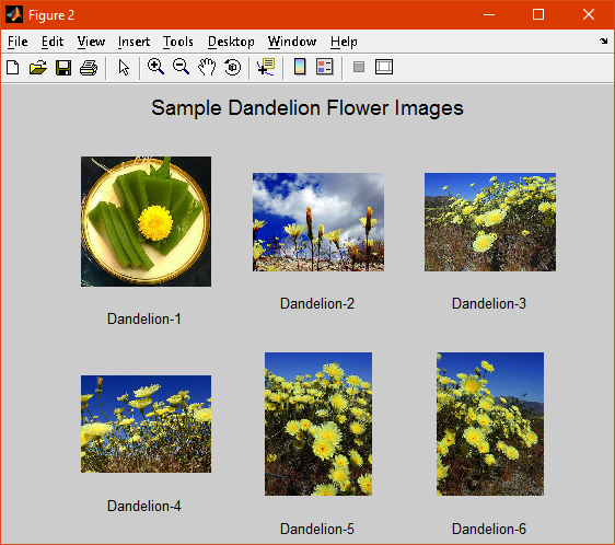 Sample Dandelion Flower CN7023 Artificial Intelligence & Machine Vision Assignment