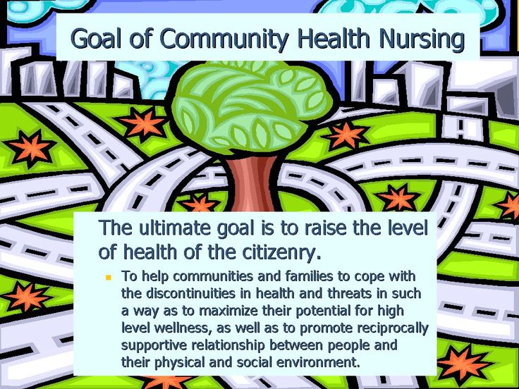 PUBH6006: Community Health Assignment Sample