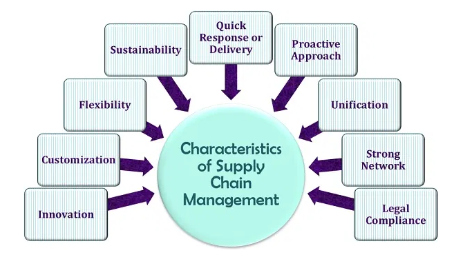 MO0495/LD7068 Assignment Sample - Sustainable Supply Chain Management and Risk