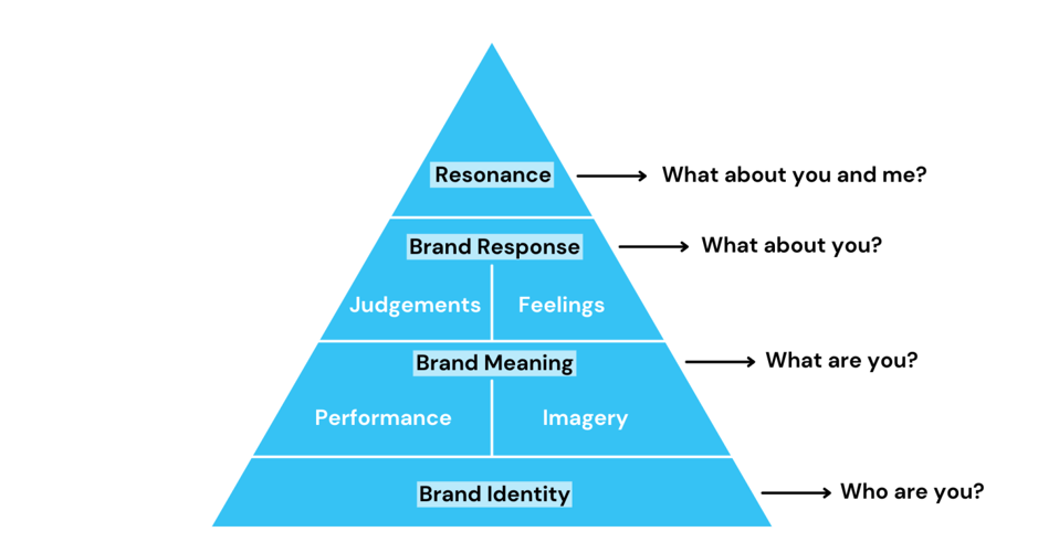 7017SMM International Brand Management Assignment