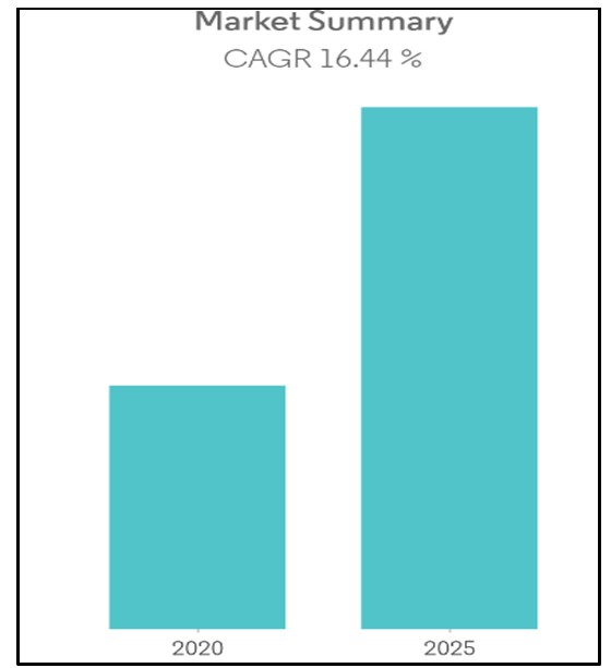 BU7411 International Marketing Strategy