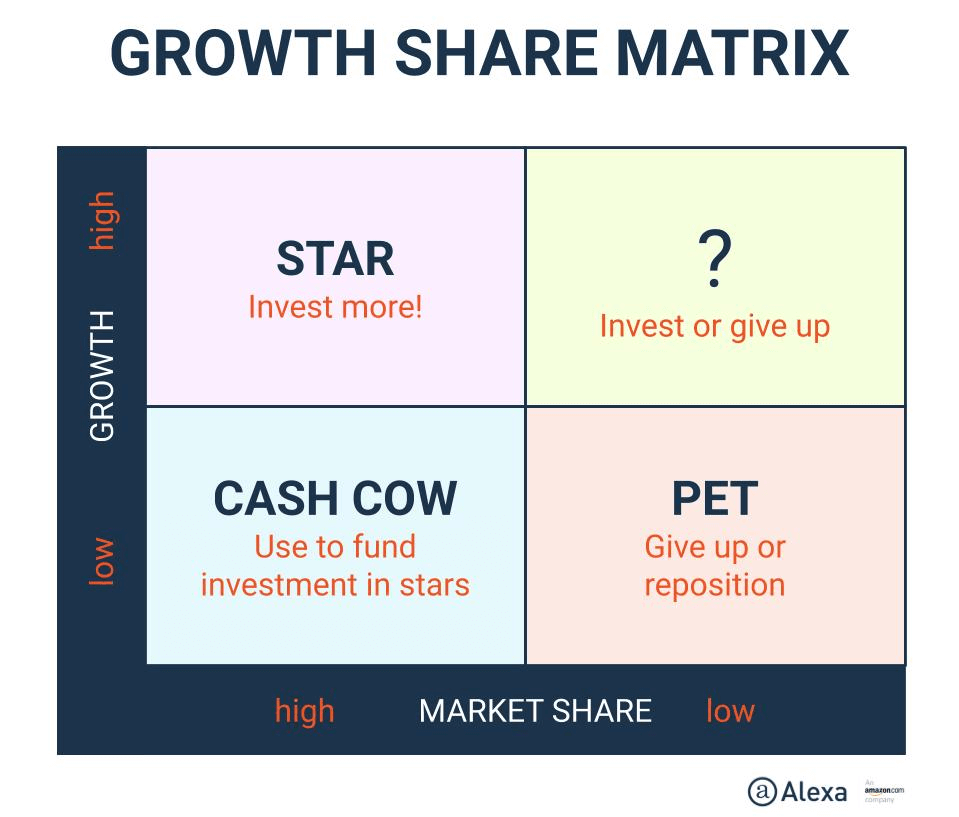 Leading through Digital Disruption Assignment Sample - Growth-Share Matrix