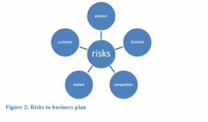 MGMT 261 Corporate Strategic Business Plan Risks