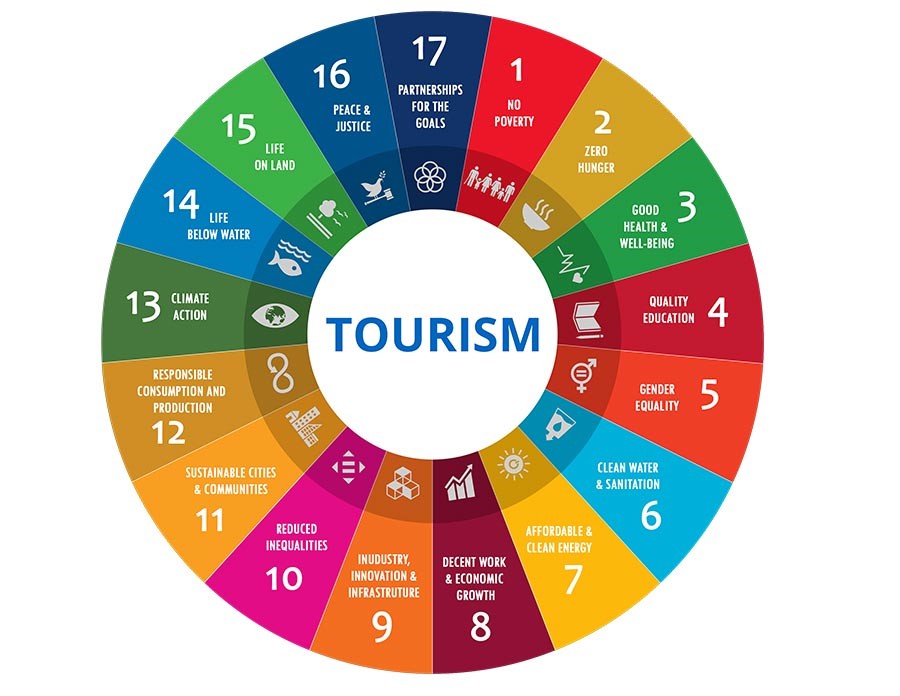 TM6016 International Tourism Development Assignment Sample 2