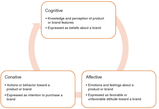 Online Offline Consumer Behaviour Assignment Sample