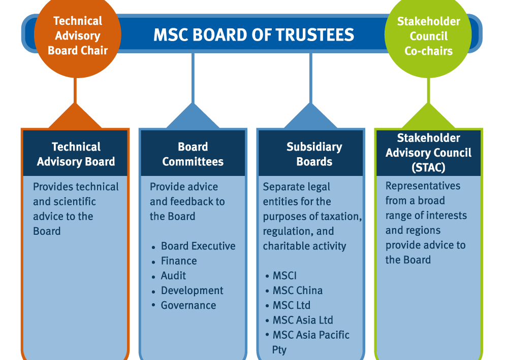 MSc Management Executive Leadership and Governance Assignment Sample