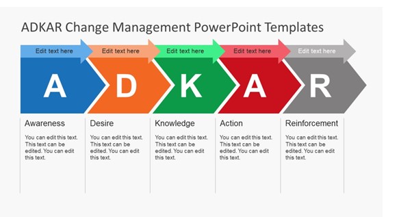 MSc Management Global Strategy and Sustainability Sample Assignment