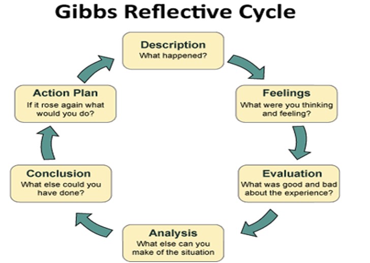 MSc Management Personal Effectiveness Assignment Sample 