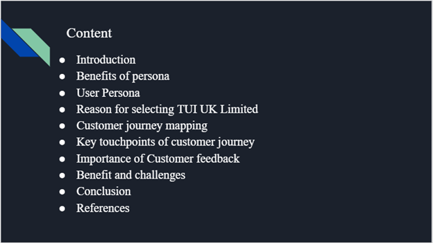 MSc Management with Digital Marketing Strategy and Analytics Assignment Sample 2023