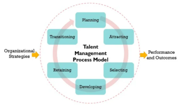 BUS7B35 Resourcing and Talent Management Assignment Sample