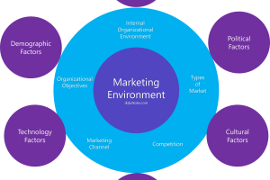 MKT4001D Principles of Marketing Assignment Sample