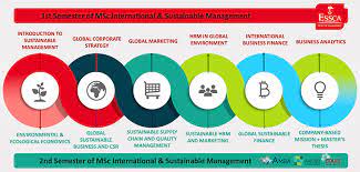 MSc Management Global Strategy and Sustainability Assignment Sample