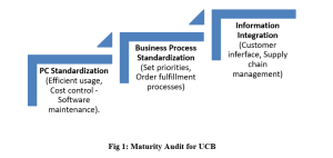 P31164-Information Technology and Strategic Management