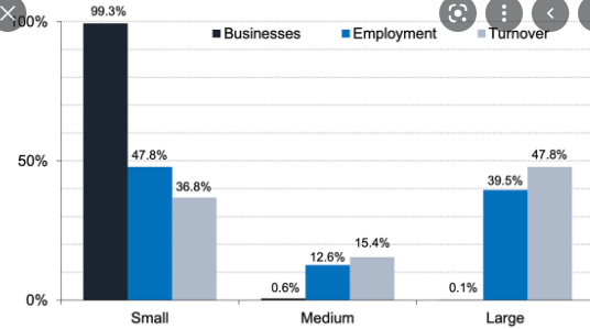 The role small enterprises play in the economy 