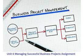 MSc Management Business Project Assignment Sample