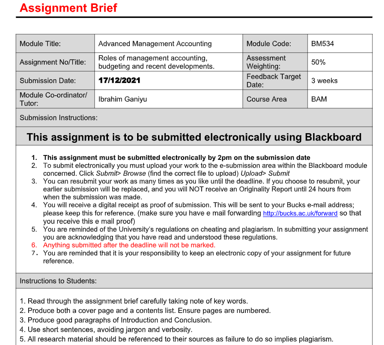 BSS058-6 Strategy and the Global Competitive Environment Assignment