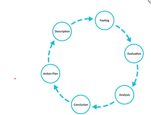 MSc Management Personal Effectiveness Assignment Sample