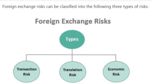 21BSP033 International Business Environment Assignment Foreign Exchange Risks