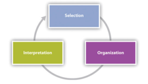 Summative Coursework : Organisational Behaviour