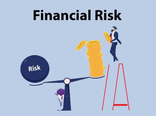 BU7009 Financial Risk Management Assignment Sample