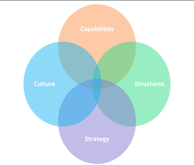 MAR038-6 Intercultural Business Competencies 