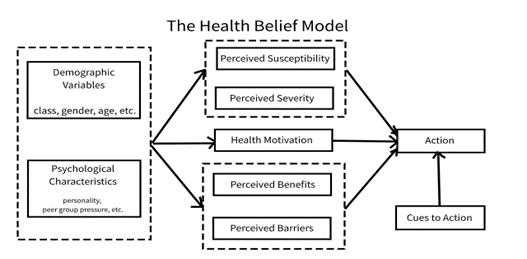 NMS11156 Clinical Governance and Improvement Practice Sample