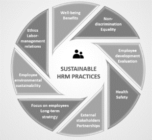 QUAL11021 Projects in Practice Assignment Sample 2023