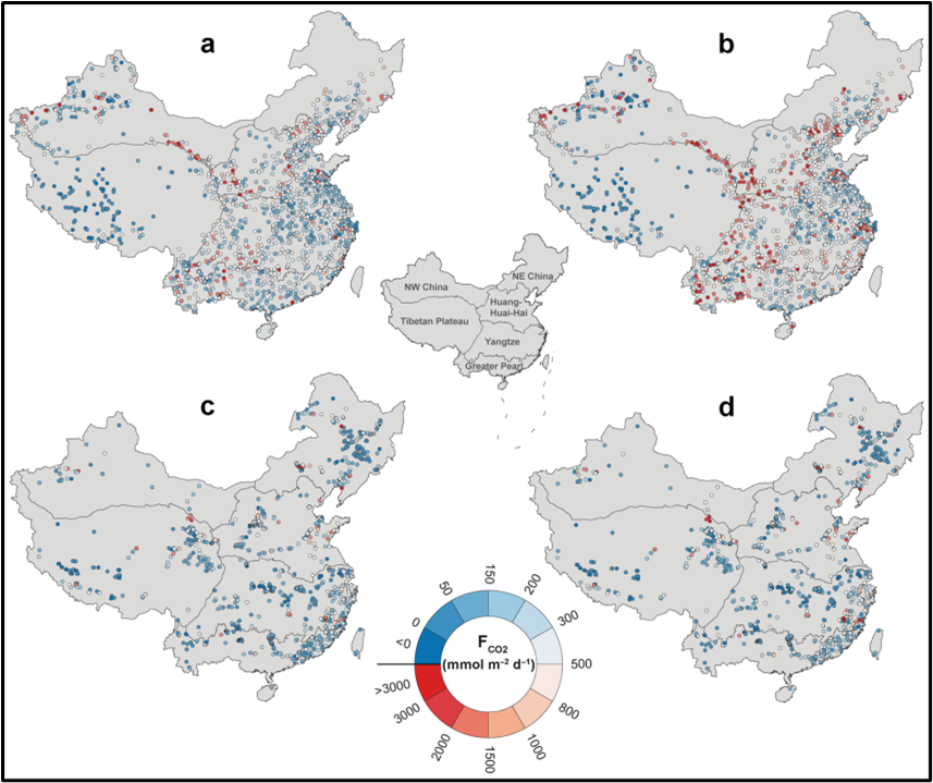 CRITICALLY ASSESS THE OPTIONS FOR REPRESENTING GEOGRAPHICAL PHENOMENA IN A GIS