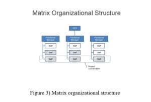 BST190 Innovation Management Assignment Matrix organizational structure