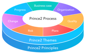 MOD004451 Global Corporate Reorganization Sample