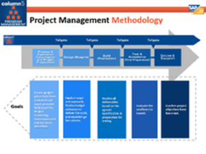 MOD004451 Global Corporate Reorganization 