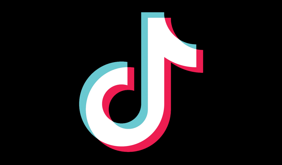 tiktok brand logo- SOE11112 Creating Business Excellence and Marketing Assignment Sample