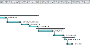 MOD004451 Project Management Sample